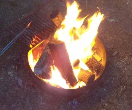 shady trails campground