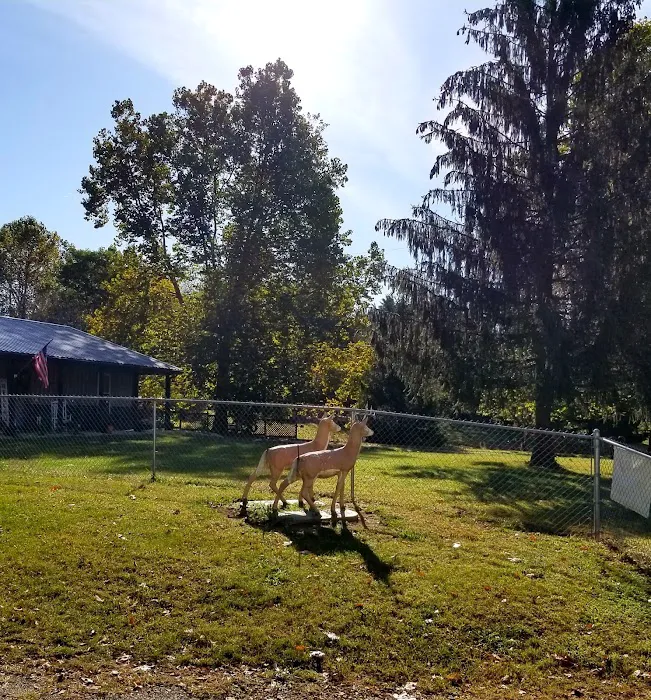 Shady Trails Family Campground 2