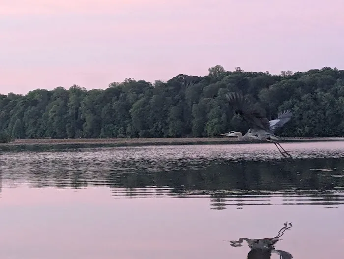 Rocky Fork State Park Campground 3