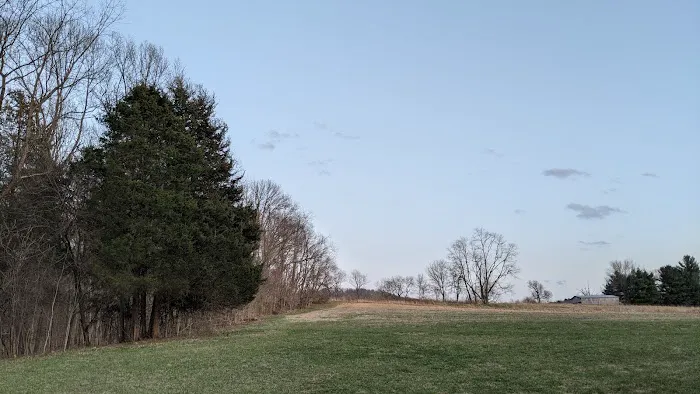 Camp Swallowtail 3