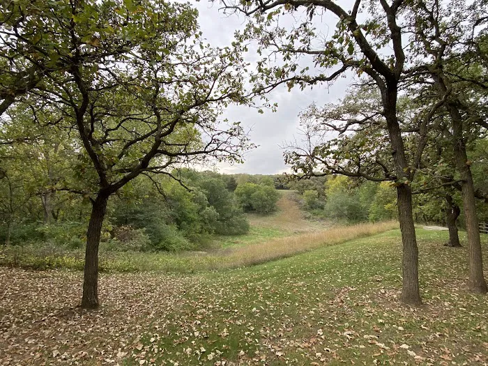 South Shelter Area Campground 6