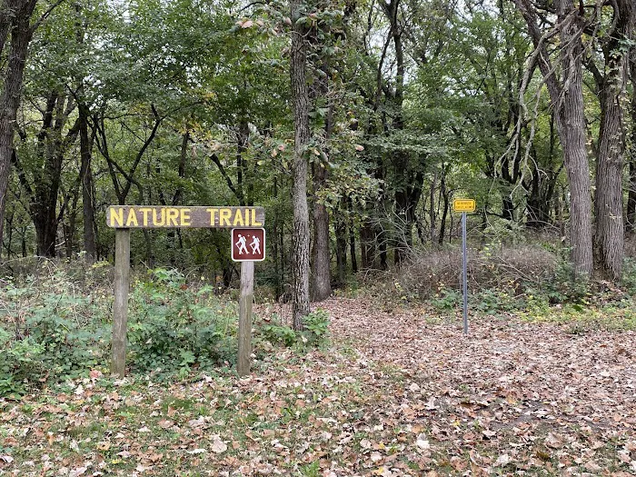 South Shelter Area Campground 5