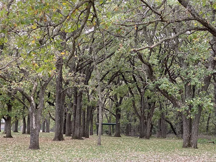 North Shelter Area Campground 4