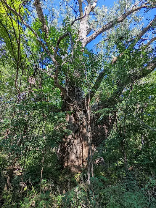 Burt Lake Campground and Wildlife Area 10