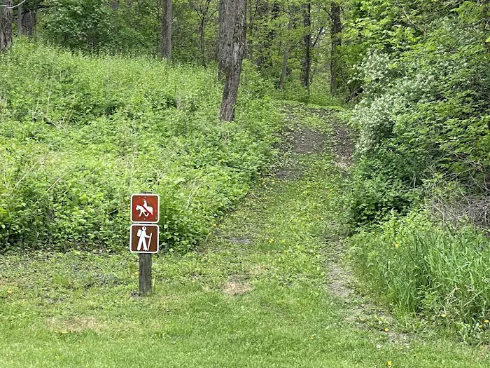 Martin Access Campground #3 8