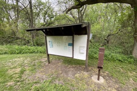 Martin Access Campground #3
