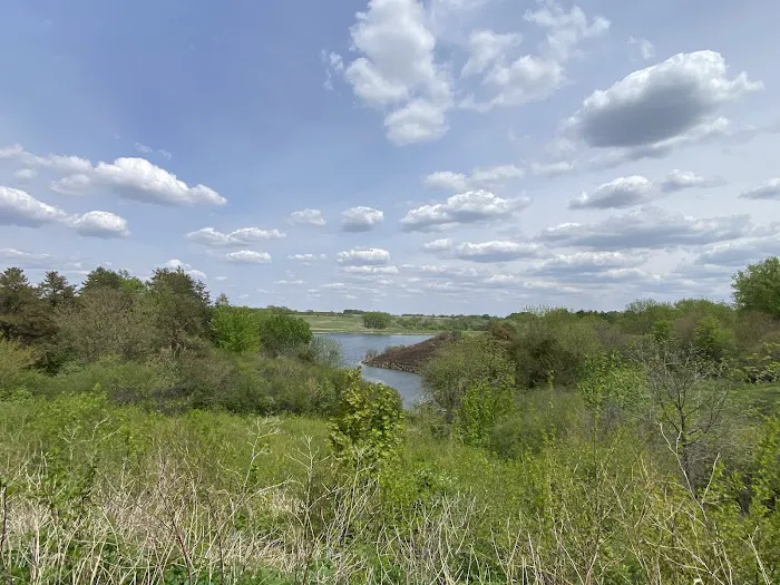 Dog Creek Park - South Campground 1