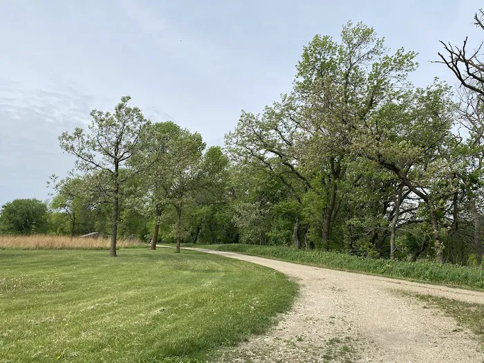 Stieneke Area Campground 6