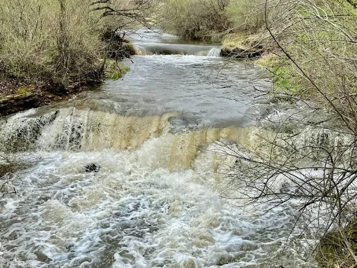 Briggs Woods Campground 3