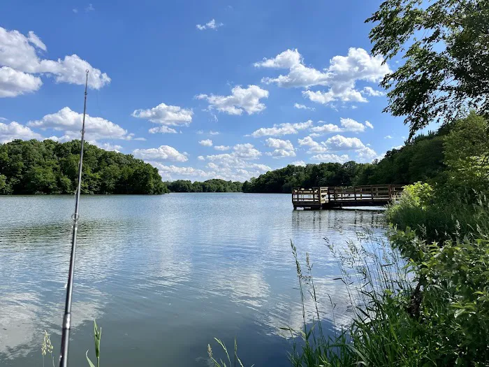 Briggs Woods Campground 6