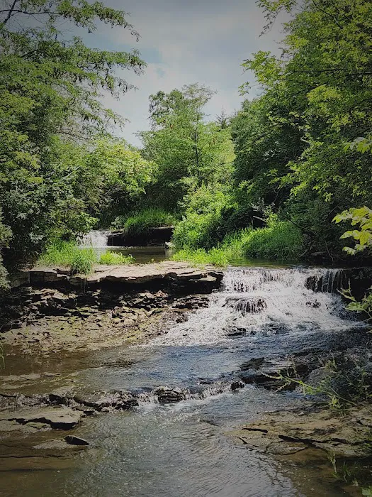 Briggs Woods Campground 4
