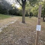 Whiting Woods