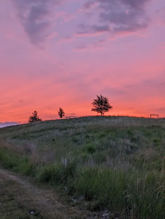 Southwood Conservation Area Campround 1