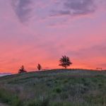 Southwood Conservation Area Campround