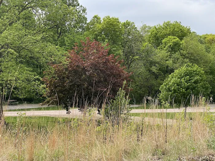 Southwood Conservation Area Campround 10
