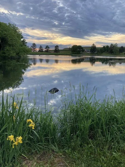 Arrowhead Park Campground 4 10