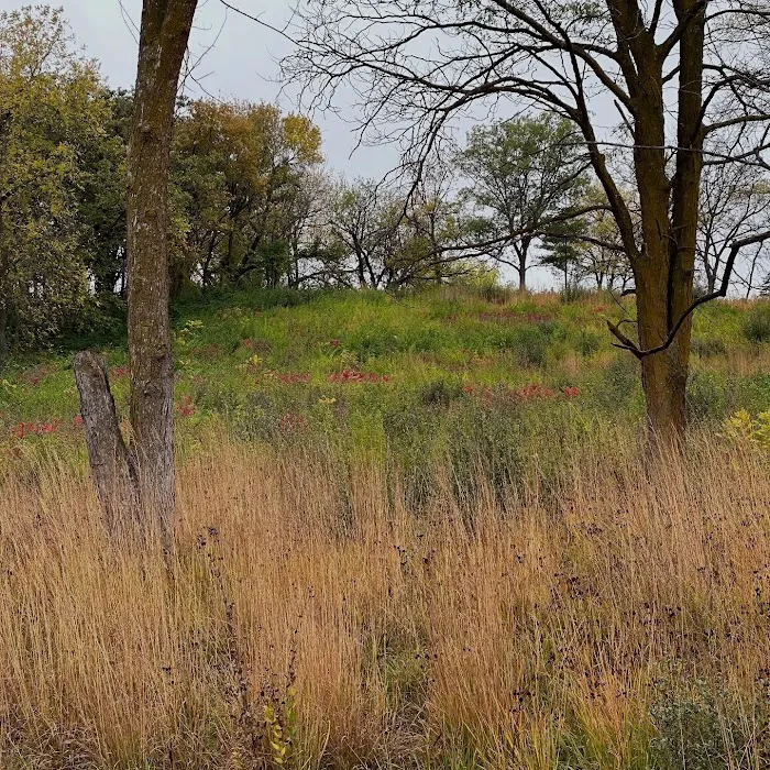 Arrowhead Park 7