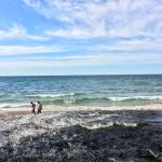 Chapel Beach Campground