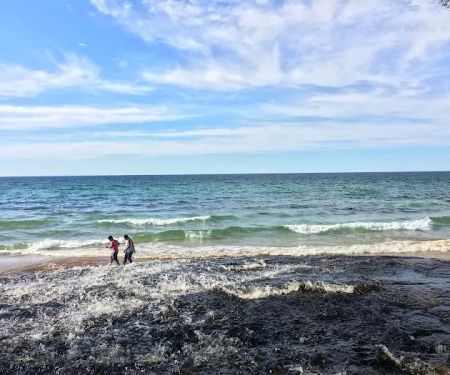 Chapel Beach Campground