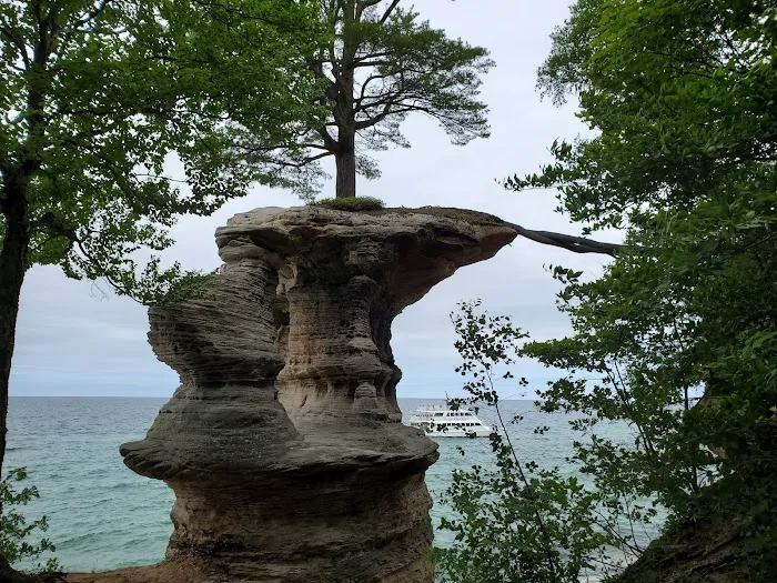Chapel Beach Campground 10