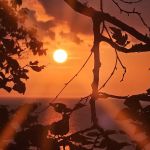 Coves Group Campsite