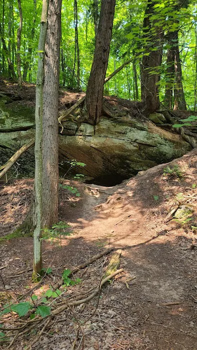 Coves Campground 10