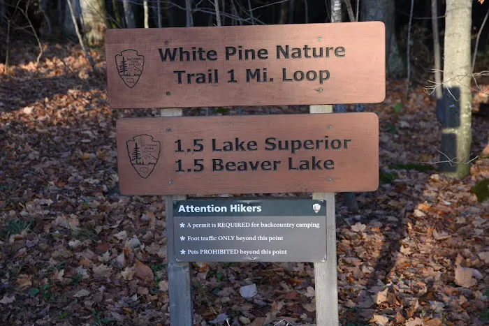 Little Beaver Lake Campground Trailhead 5