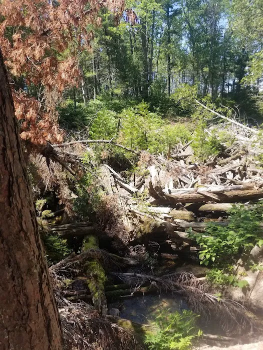 Beaver Creek Campground 7