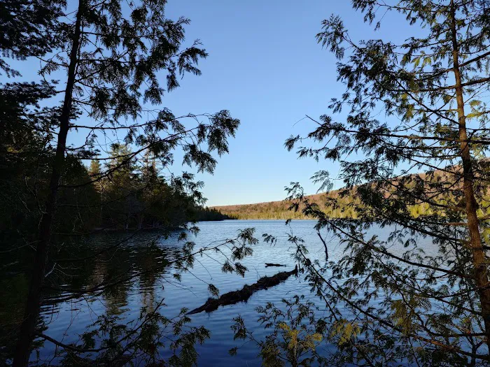 Trapper's Lake Campground 7
