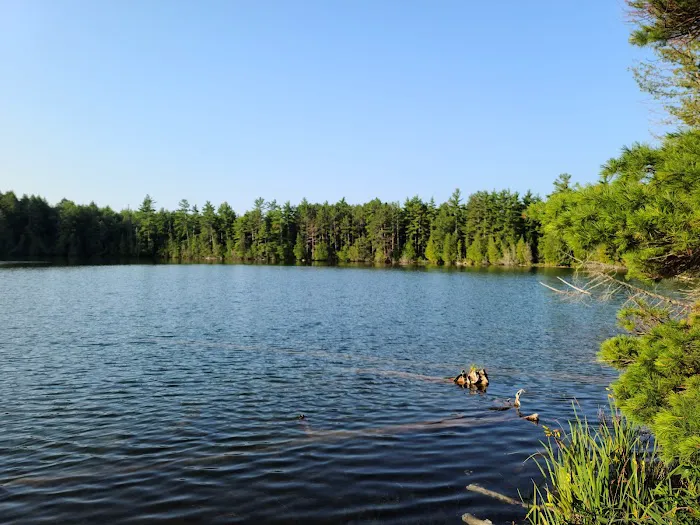 Trapper's Lake Campground 3