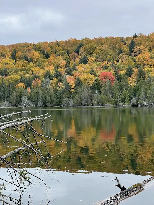 Trapper's Lake Campground 6