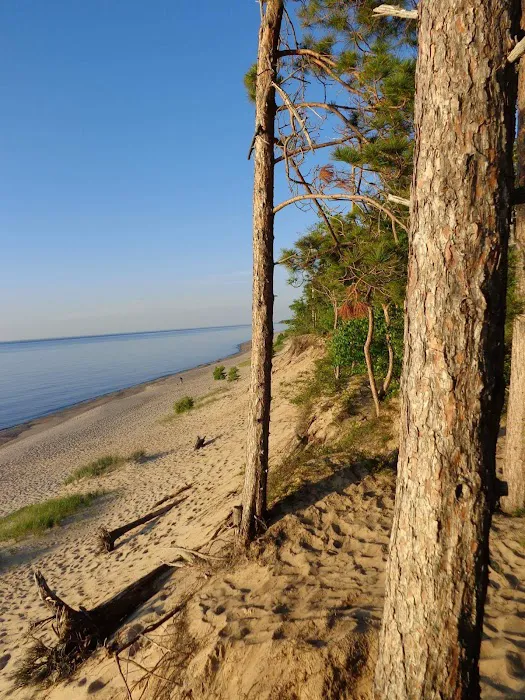 Pine Bluff Campground 4