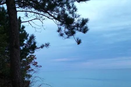 Pine Bluff Campground