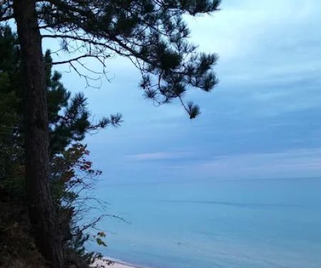 Pine Bluff Campground