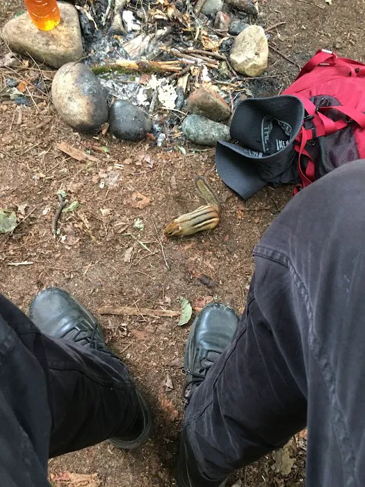 Sevenmile Creek Campground 8