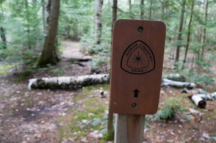 Sevenmile Creek Campground 7
