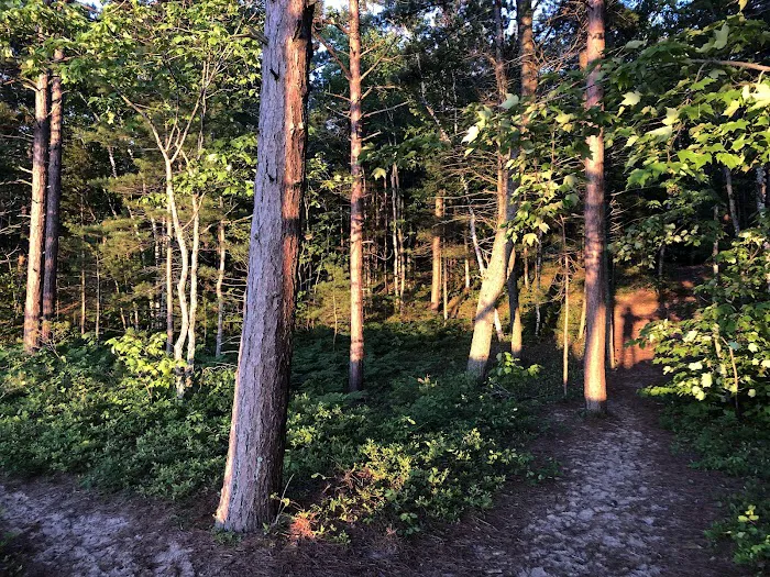 Twelvemile Beach Campground 4