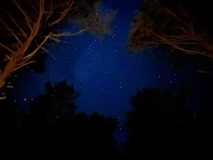 Pike Lake State Forest Campground 6