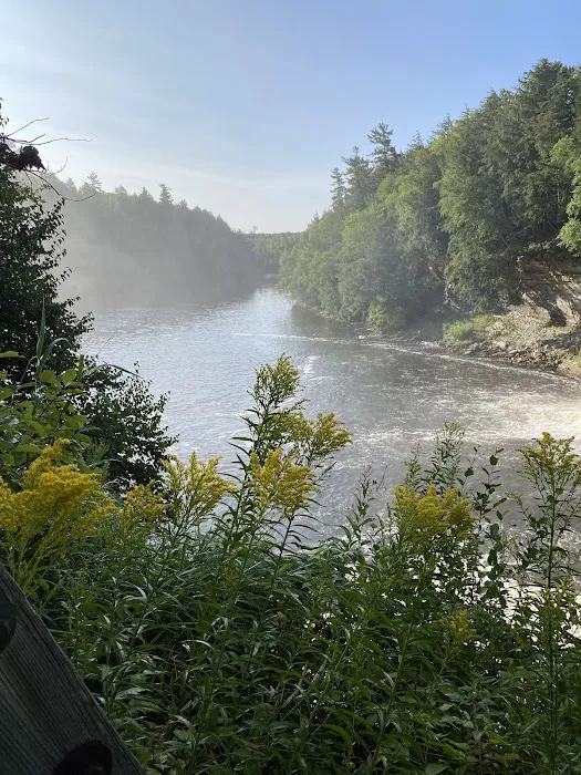 Lower Falls Hemlock Campground 5