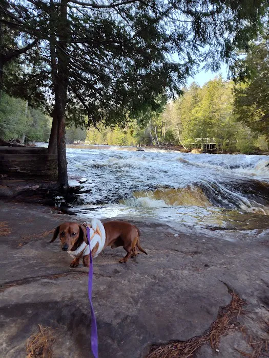 Lower Falls Hemlock Campground 3