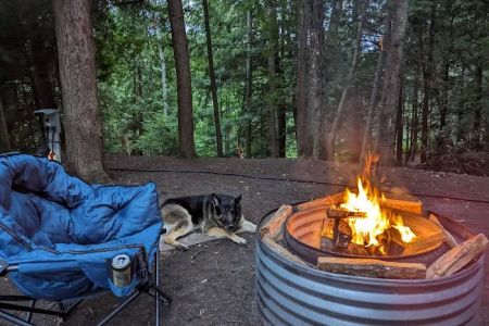 Lower Falls Portage Campground