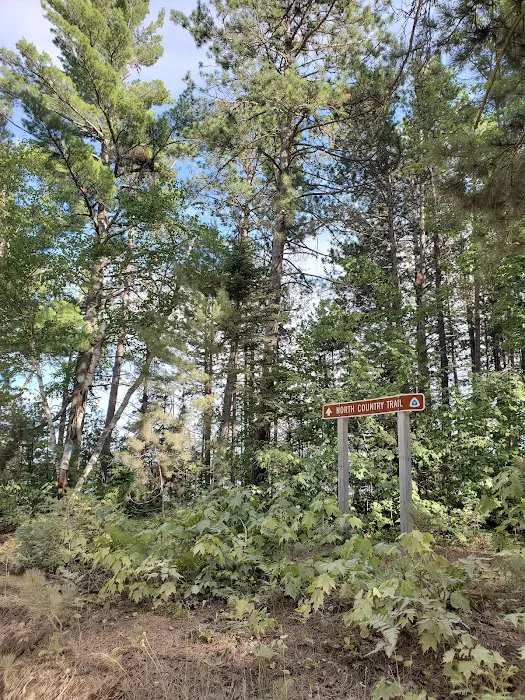 Culhane Lake State Forest Campground 8