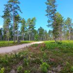 Bodi Lake State Forest Campground