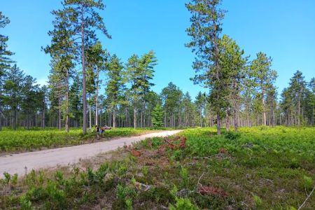 Bodi Lake State Forest Campground