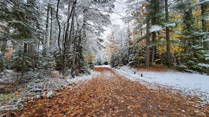 Bodi Lake State Forest Campground 6