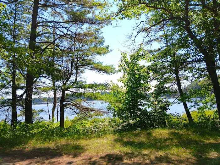 Bodi Lake State Forest Campground 2