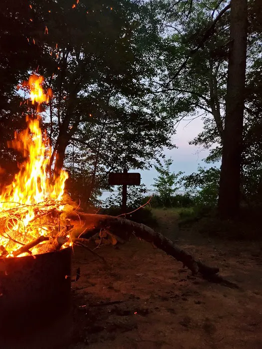 Brevort Lake Campground 5