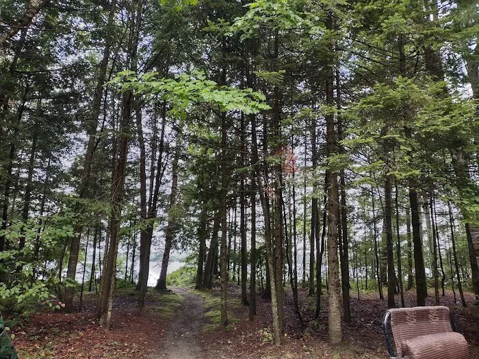 Brevort Lake Campground 10