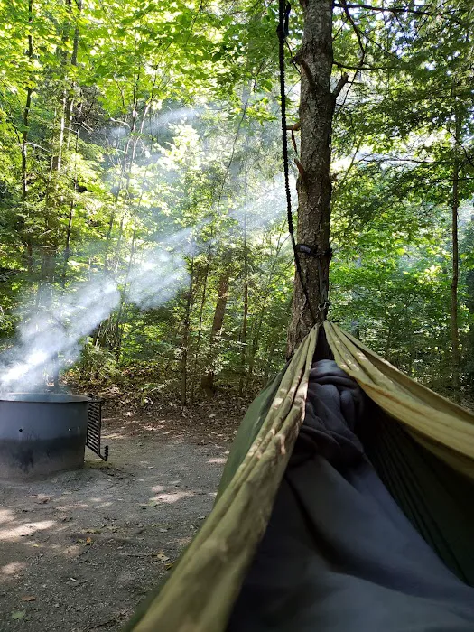 Brevort Lake Campground 9