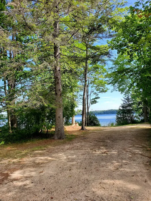 Brevort Lake Campground 8